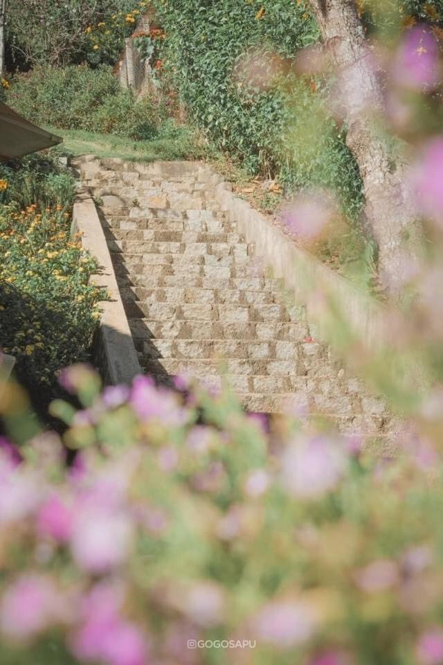Vila Biet Thu Trang Dalat Exteriér fotografie